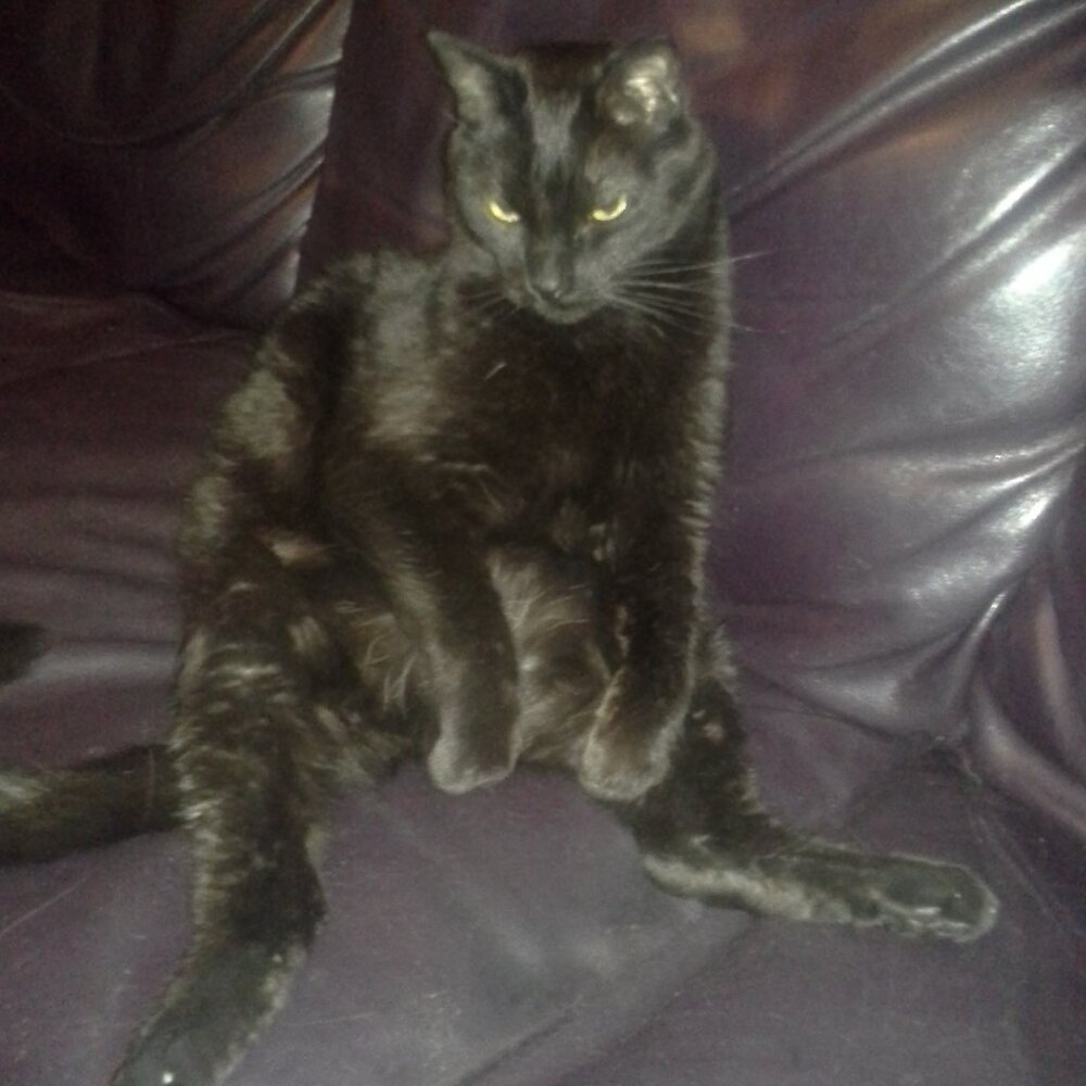 Meet your Posher, Jeffrey